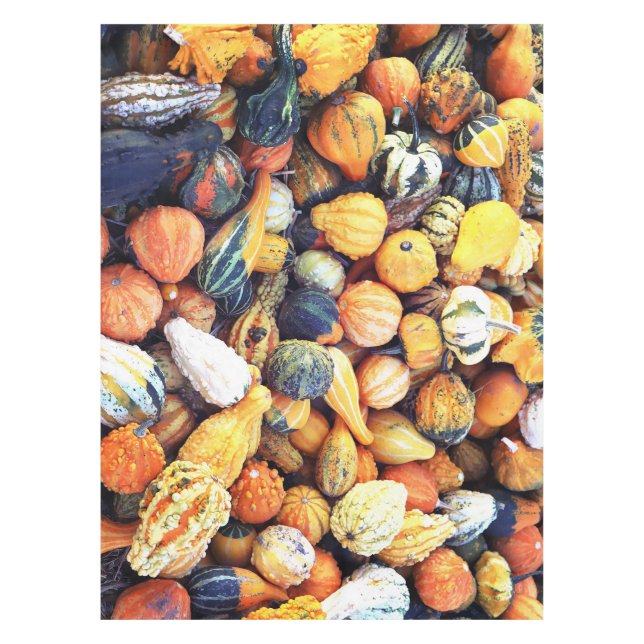 Colorful Gourds C  Tablecloth (Front)