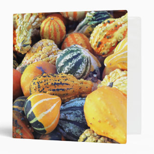 Colorful Gourds Close Up 3 Ring Binder