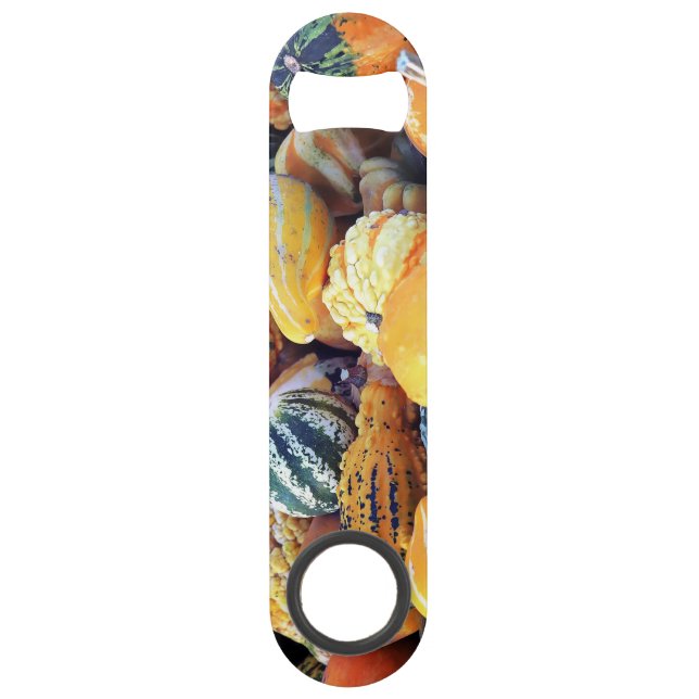 Colorful Gourds Close Up  Bar Key (Front)