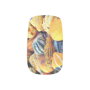 Colorful Gourds Close Up Minx Nail Art