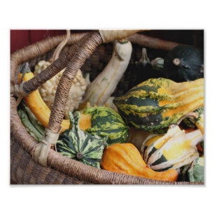 Colorful Gourds In Wicker Basket Autumn 8x10 Photo Print