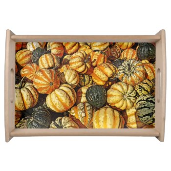 Colorful Gourds Serving Tray by whatawonderfulworld at Zazzle