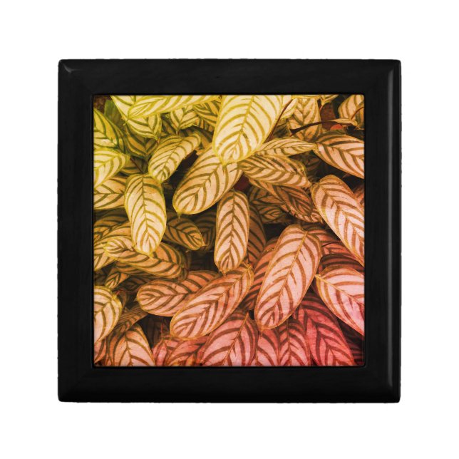 Colorful Gradient Leaf Pattern Jewelry Box (Front)