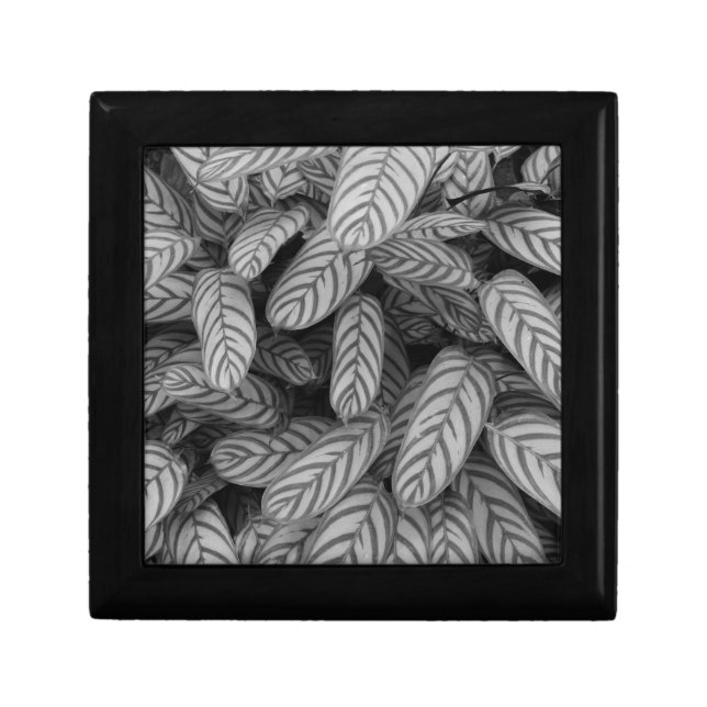Colorful Gradient Leaf Pattern Jewelry Box (Front)