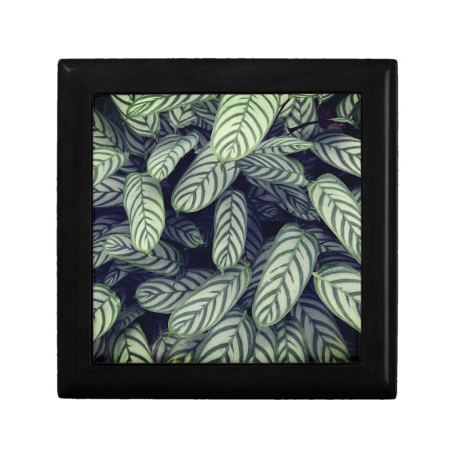Colorful Gradient Leaf Pattern Jewelry Box (Front)