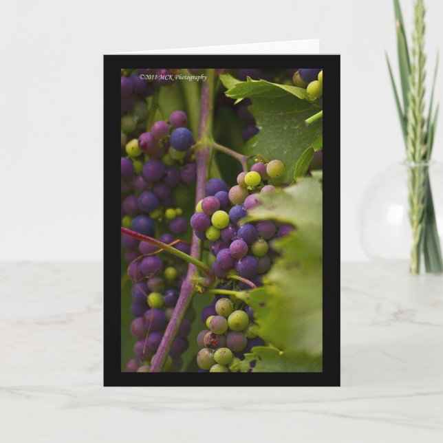 Colorful Grapes Card (Front)
