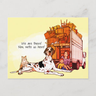 Colorful Grea Dane Cat We Moved New Home Moving Postcard
