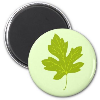 Colorful Green Autumn Leaf Magnet by ForEverProud at Zazzle