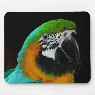 Colorful Green Parrot Mouse Pad