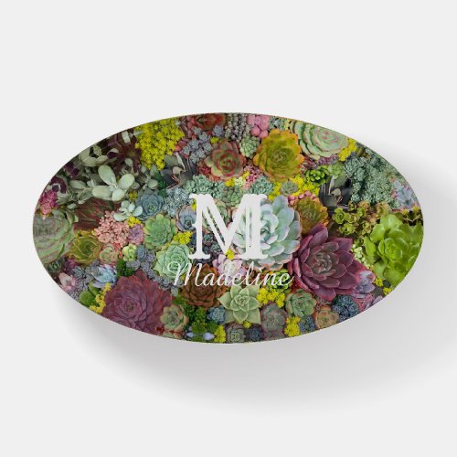 Colorful Greenery Succulents Paperweight