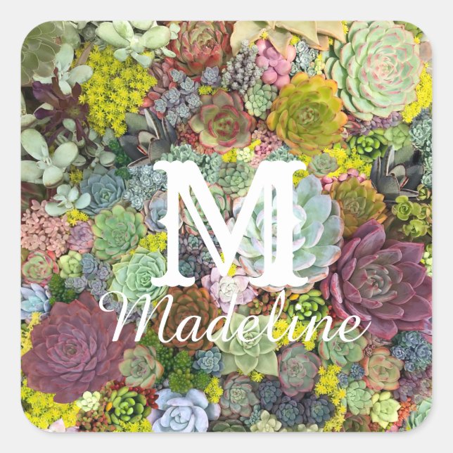 Colorful Greenery Succulents Square Sticker (Front)