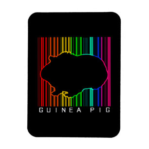 Colorful Guinea Pig Cute Guinea Lover Cute Pet Magnet