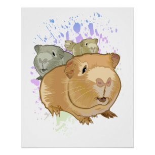 Colorful Guinea Pig Trio Rainbow Paint Splash Poster
