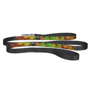 Colorful Gumdrops Candy Pet Leash
