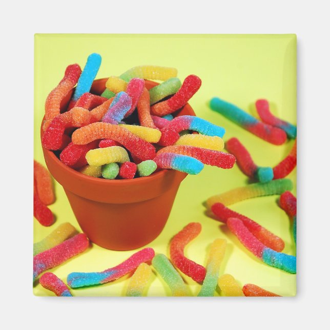 Colorful gummy worm candy magnet (Front)