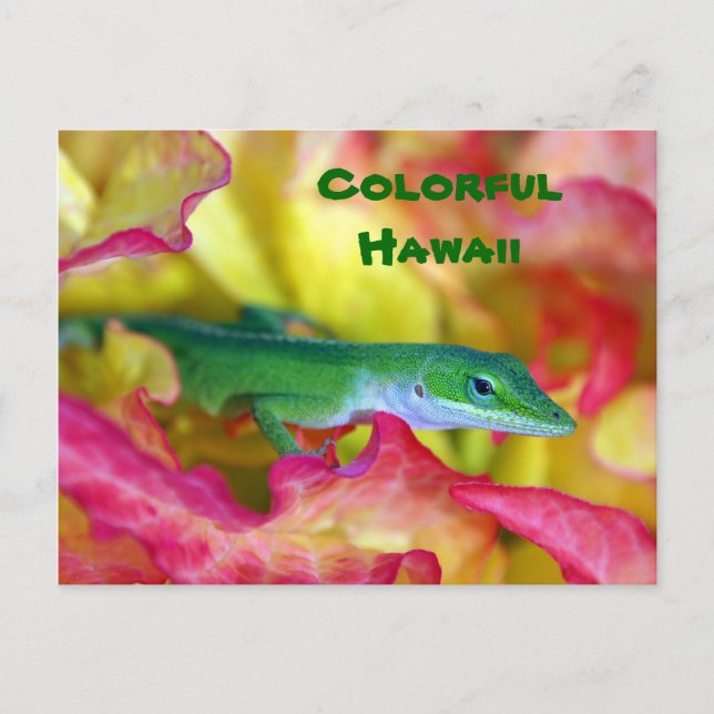 Colorful Hawaii Postcard (Front)