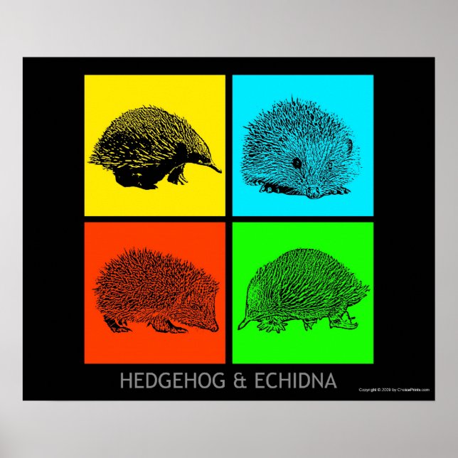 Colorful Hedgehog and Echidna Poster (Front)