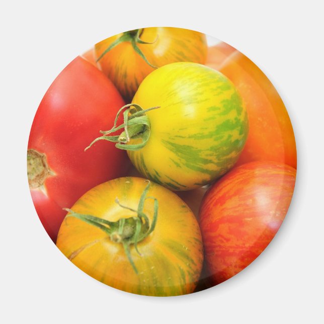 Colorful Heirloom Tomatoes Magnet (Front)