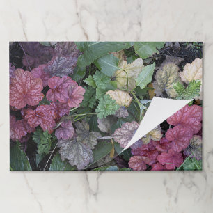 Colorful Heuchera Leaves Floral Paper Placemats