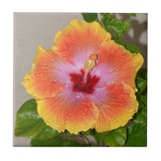 Colorful Hibiscus Flower Ceramic Tile