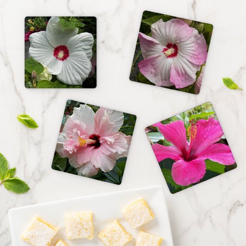 Colorful Hibiscus Flowers Floral Coaster Set
