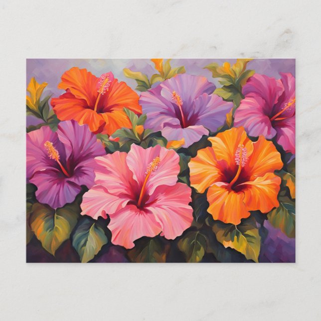 Colorful Hibiscus Flowers  Postcard (Front)