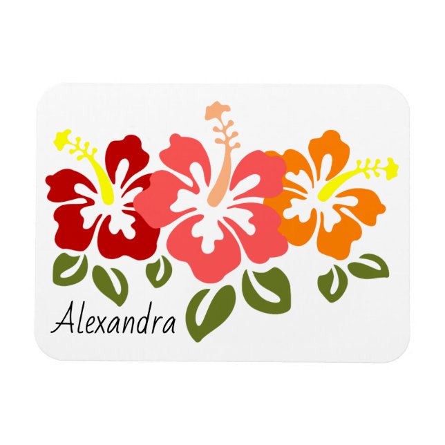 Colorful Hibiscus Trio Personalized Magnet (Horizontal)