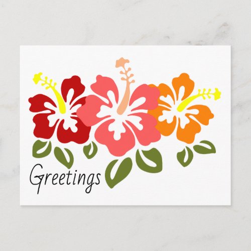 Colorful Hibiscus Trio Postcard