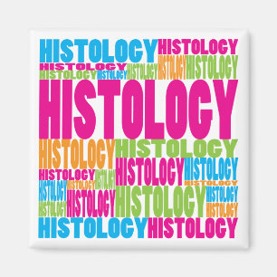 Colorful Histology Magnet