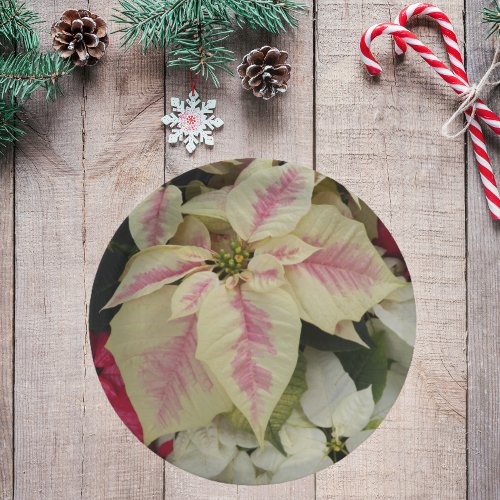Colorful Holiday Poinsettias Floral Paper Plates