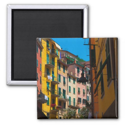 Colorful Homes in Cinque Terre Italy Magnet