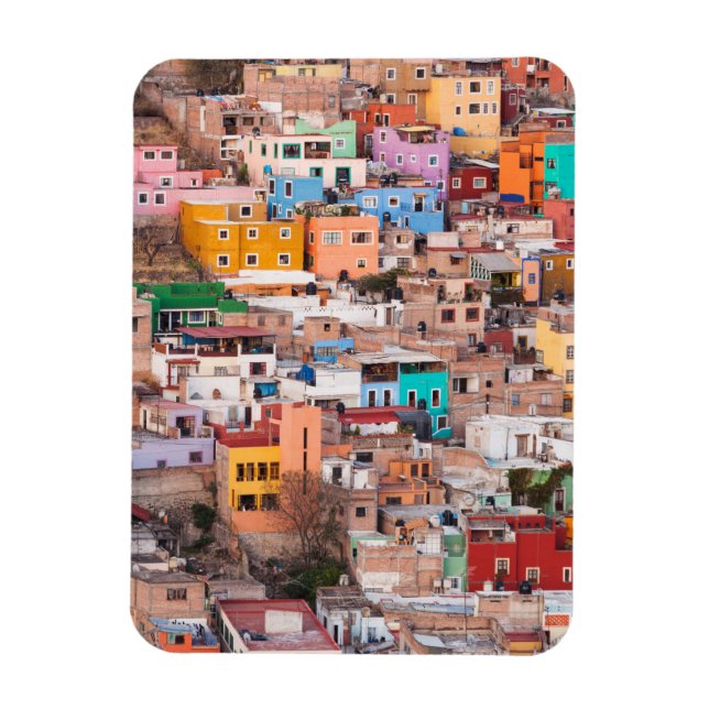 Colorful Homes on the Hill Magnet (Vertical)