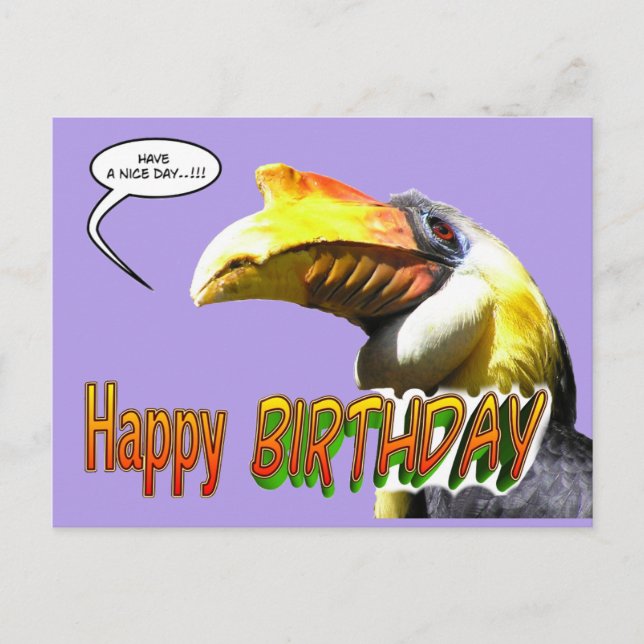 Colorful Hornbill Birthday Postcard (Front)