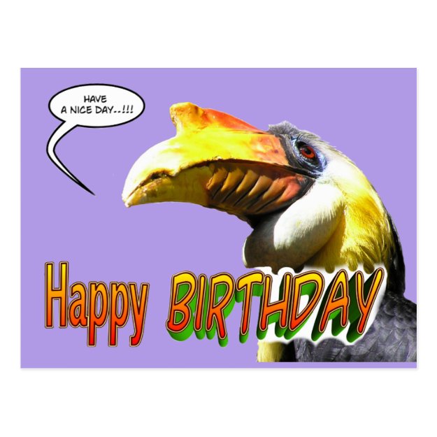 Colorful Hornbill Birthday Postcard