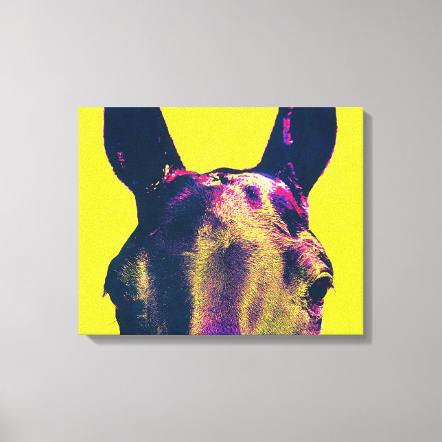 Colorful Horse Eyes Photographic Art Canvas Print (Front)
