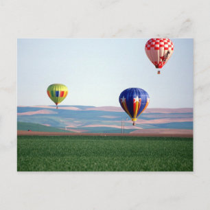 Colorful hot air balloons float over wheat postcard