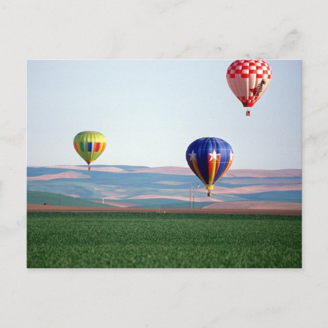 Colorful hot air balloons float over wheat postcard (Front)