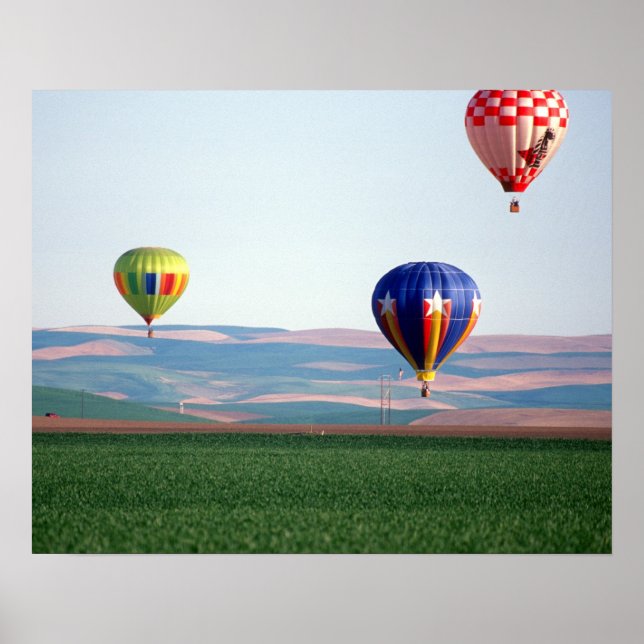 Colorful hot air balloons float over wheat poster (Front)