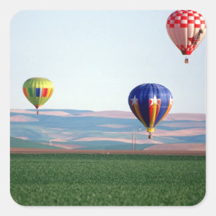 Colorful hot air balloons float over wheat square sticker