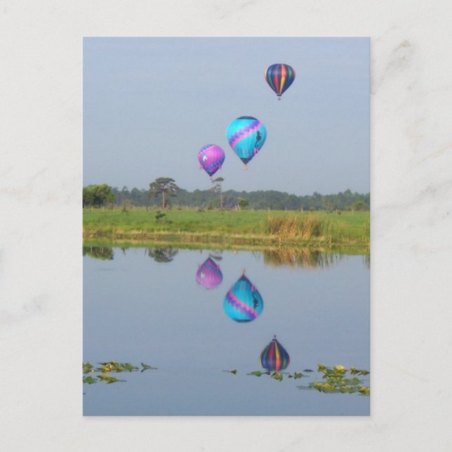 Colorful Hot Air Balloons photographic image Postcard (Front)