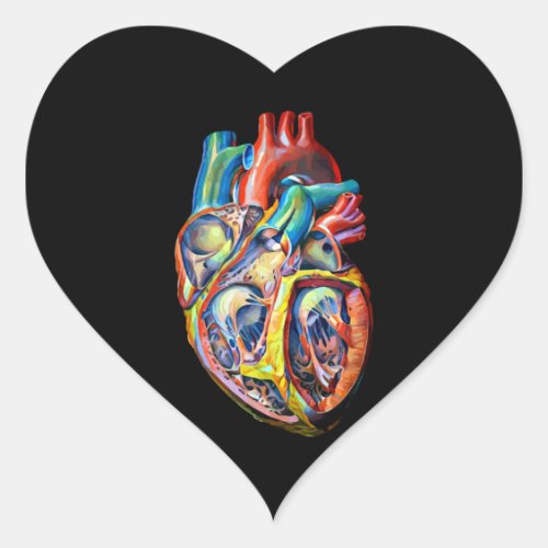colorful human heart anatomy abstract art heart sticker