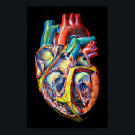 colorful human heart anatomy abstract art poster<br><div class="desc">colorful human heart anatomy original abstract art Poster</div>
