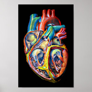colorful human heart anatomy abstract art poster