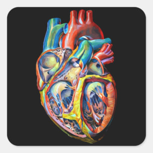 colorful human heart anatomy abstract art square sticker