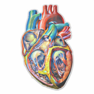 colorful human heart anatomy abstract art sticker