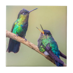 Colorful Hummingbird Couple Ceramic Tile
