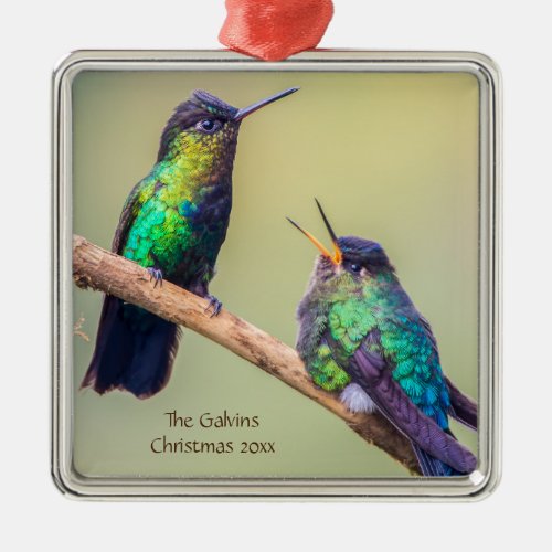 Colorful Hummingbird Couple in Costa Rica Name Metal Ornament