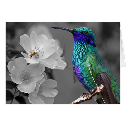 Colorful Hummingbird, Flowers and Bee Card (Front Horizontal)