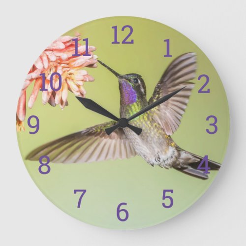 Colorful Hummingbird Flying to a Flower Large Clock