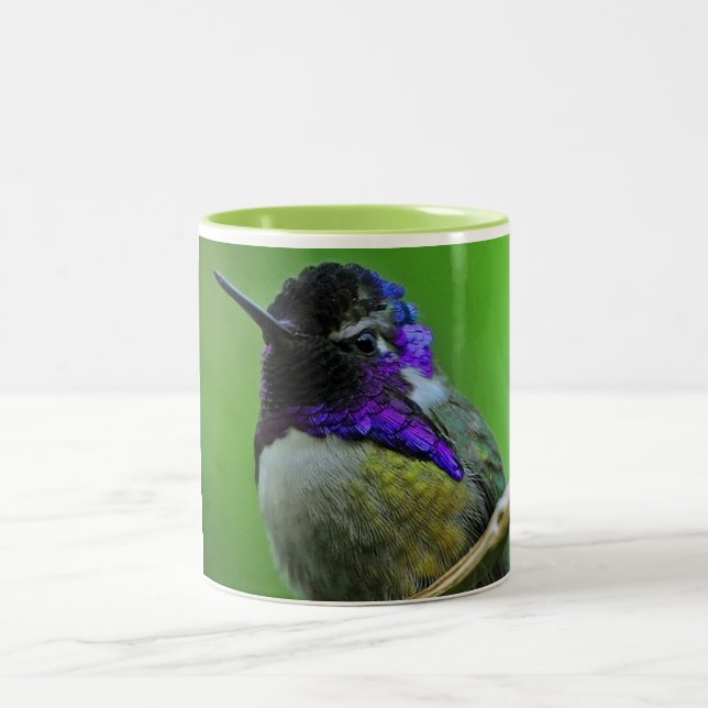 Colorful Hummingbird Mug (Center)